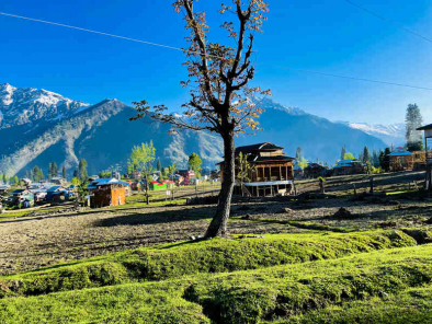 Unveiling Darjeeling's Beauty: 3 Nights & 4 Days In The Himalayas