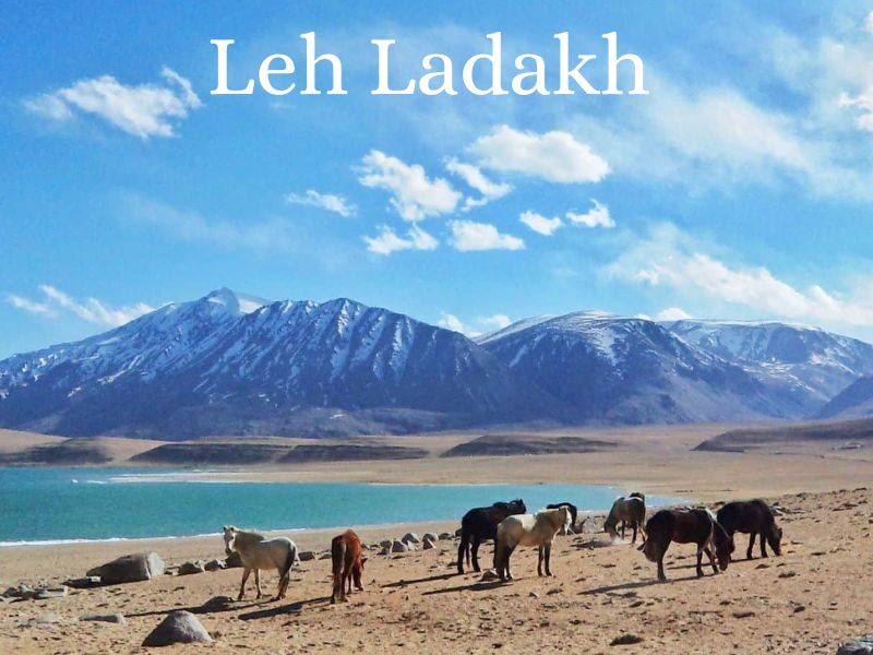  Essence Of Leh Ladakh